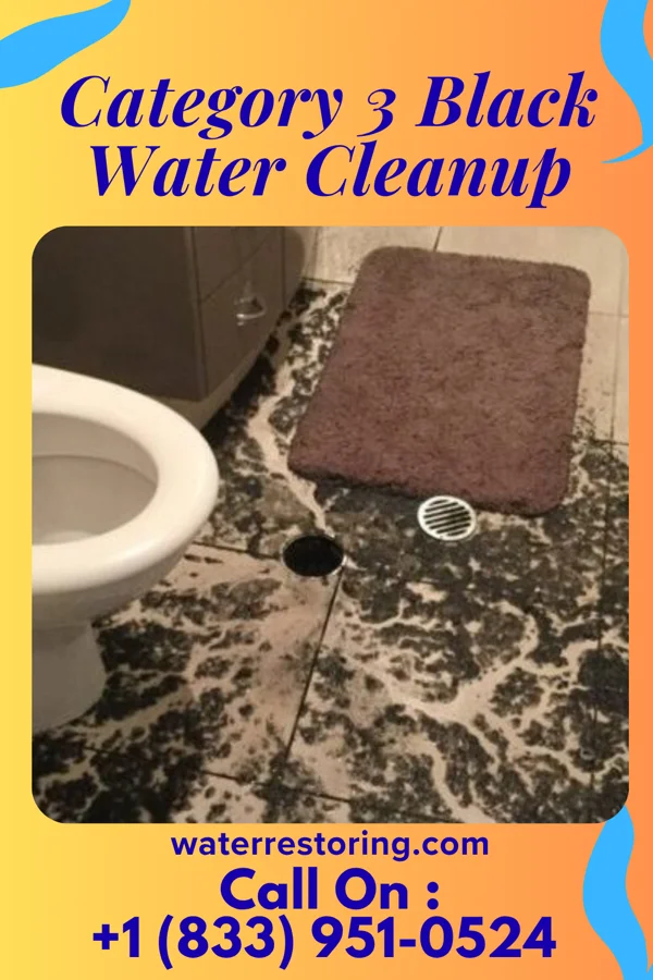 Category 3 Black Water Cleanup in Gage, OK