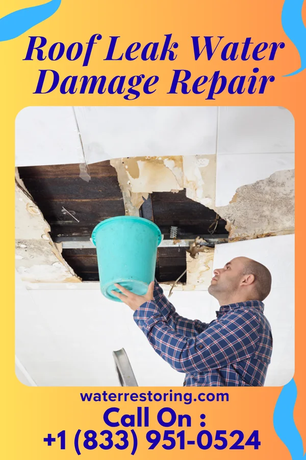 Roof Leak Water Damage Repair in Gage, OK